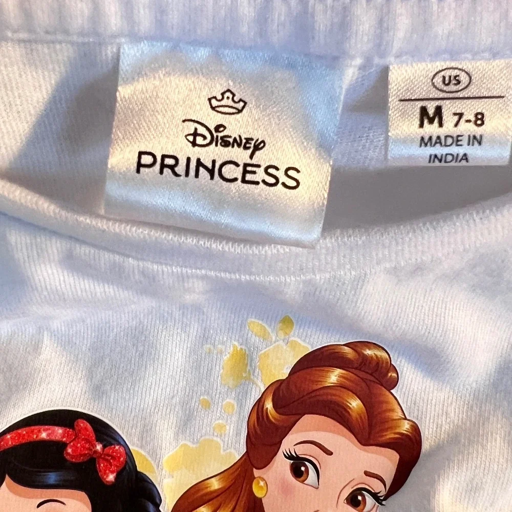 Disney measurements pit